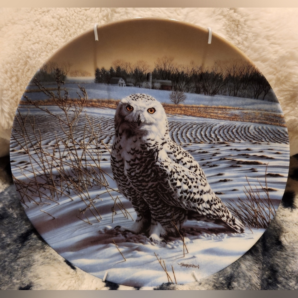 2 Edwin M. Knowels Owl Collector Plates with hangers